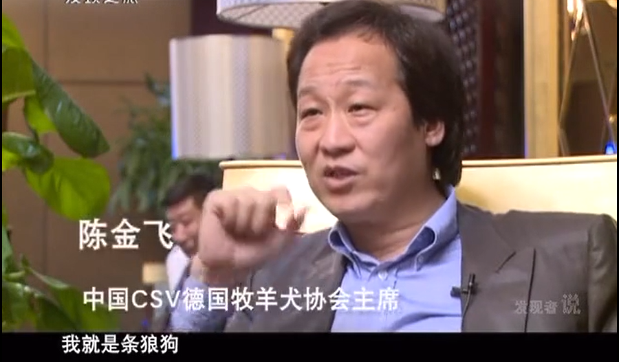 陈金飞为什么和刘亦菲分手（刘亦菲被抛弃陈金飞的原因）