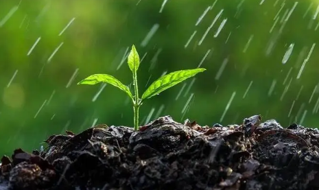 2023年芒种过后雨水会变多吗（芒种过后天气怎么样）