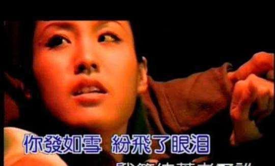 王婉霏车展不穿内裤（刘耕宏妻子王婉霏介绍）