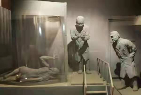 日本电影豚鼠恶魔实验是真的吗(图解日本豚鼠恶魔实验简介)