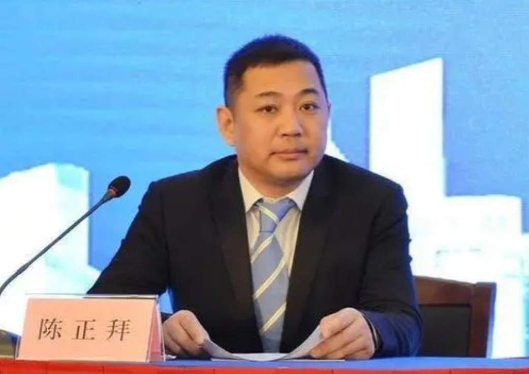 雷佳的老公是干什么的（著名歌唱家雷佳的慈善家丈夫陈正拜）