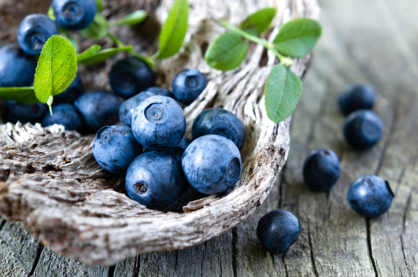 蓝莓中的花青素能被人体吸收吗2