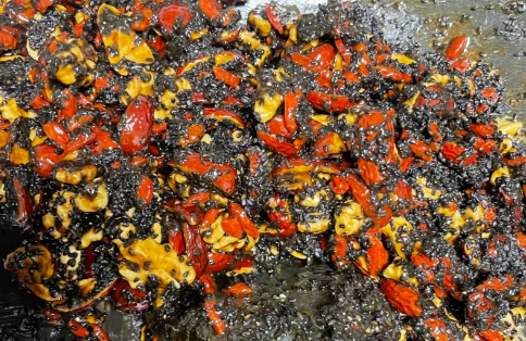 阿胶糕熬的稀了还能吃吗（阿胶糕熬的稀了怎么办）