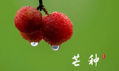 2023年芒种下雨是旱还是涝（芒种下雨预示以后天气会怎样）