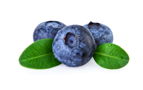 一盒蓝莓125克可以一天吃完吗(一天吃125克蓝莓算多吗) 一盒蓝莓125克可以一天吃完吗(一天吃125克蓝莓算多吗)