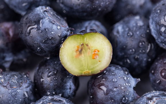 蓝莓为什么要一盒一盒的卖2