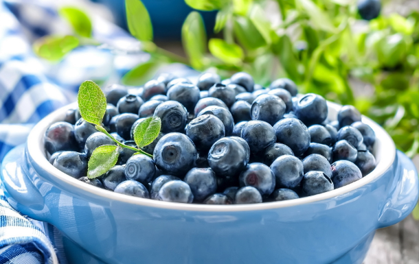 佳沃蓝莓是进口还是国产(佳沃蓝莓是智利蓝莓吗) 佳沃蓝莓是进口还是国产(佳沃蓝莓是智利蓝莓吗)