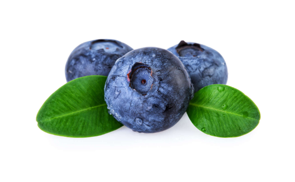 蓝莓加热破坏花青素吗（蓝莓加热后花青素还有没有作用）