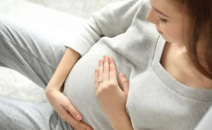 2023年属兔6月出生的是男孩还是女孩