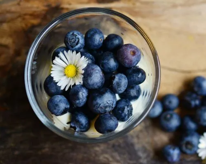 蓝莓表面越白越好吗（蓝莓越白越新鲜吗）