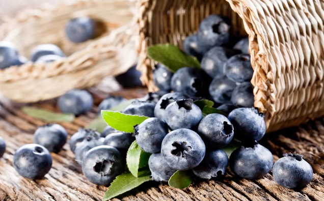 蓝莓买大的好还是小的好2