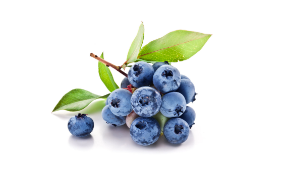 进口蓝莓需要中文标签吗1