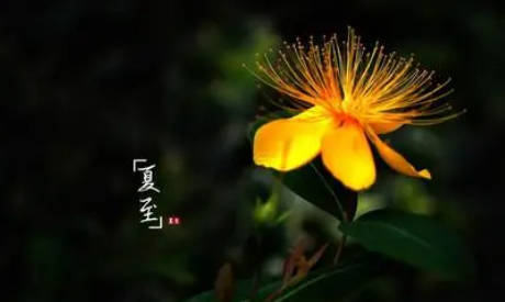 夏至每年都是同一天吗2023（2023夏至节气怎么计算）