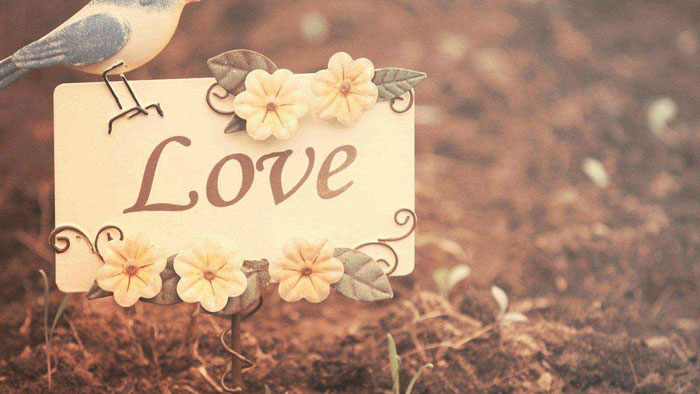 婚礼布场真花还是假花（结婚真花和仿真花的价格差多少）