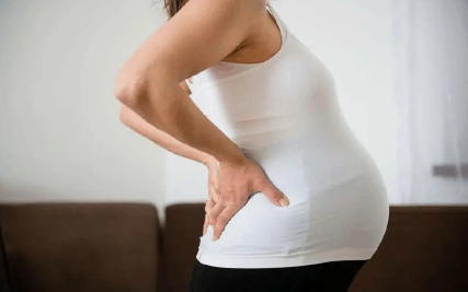 2023年属兔6月出生的是男孩还是女孩