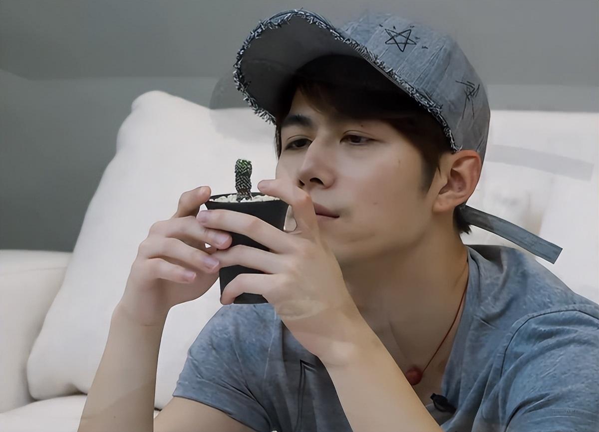 陈学冬怎么出道走红的（明星陈学冬的成名经历）