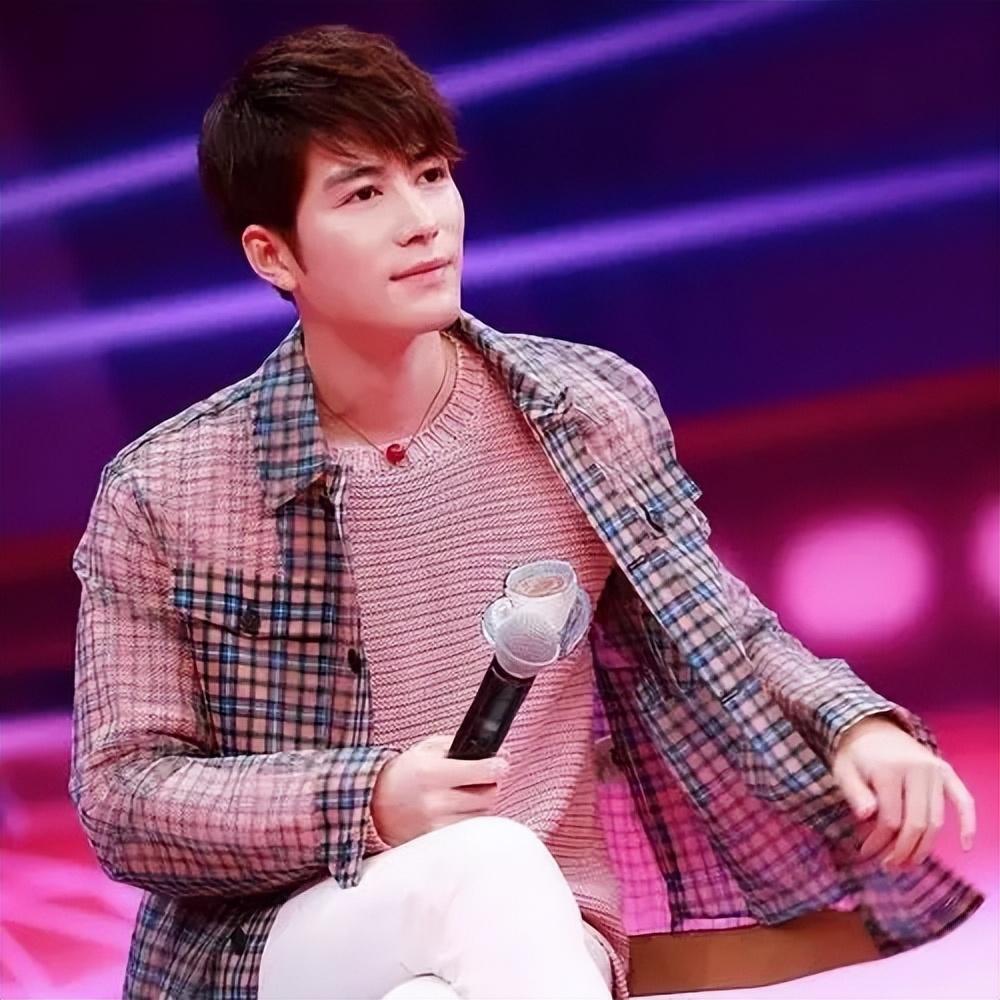 陈学冬怎么出道走红的（明星陈学冬的成名经历）