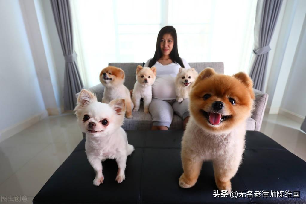 好男不养猫好女不养狗的原因（女不养狗的可怕来历）