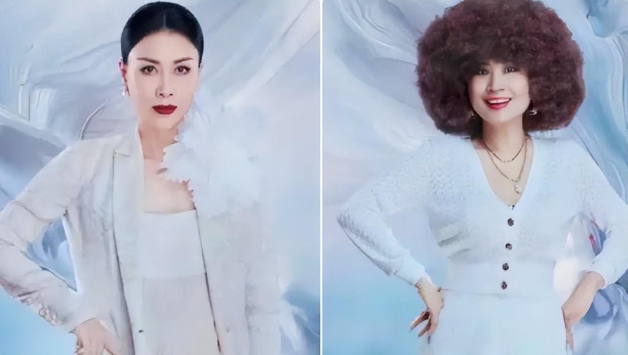 那英为什么地位这么高（歌坛霸主那英厉害的三个原因）