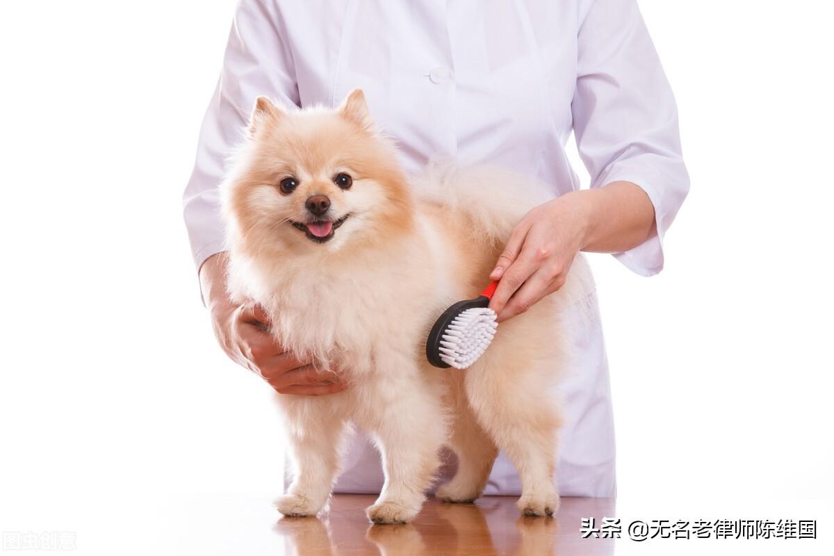 好男不养猫好女不养狗的原因（女不养狗的可怕来历）