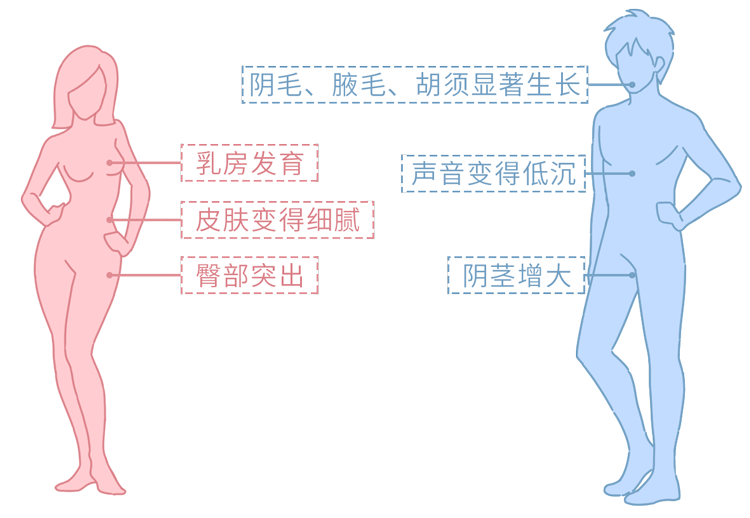 男生的喉结为什么女生不能摸（女生碰完男生喉结的后果）