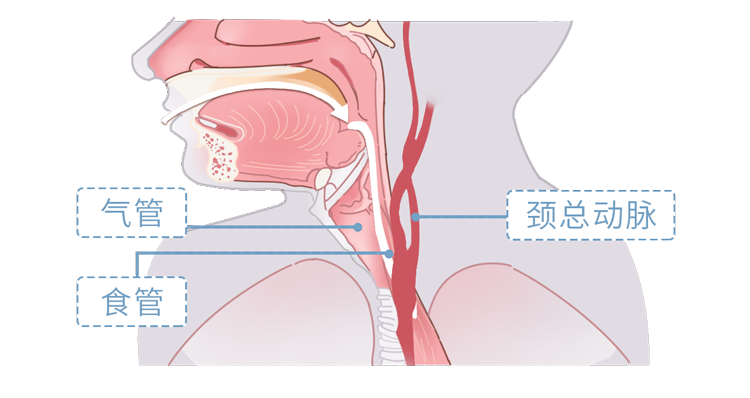 男生的喉结为什么女生不能摸（女生碰完男生喉结的后果）