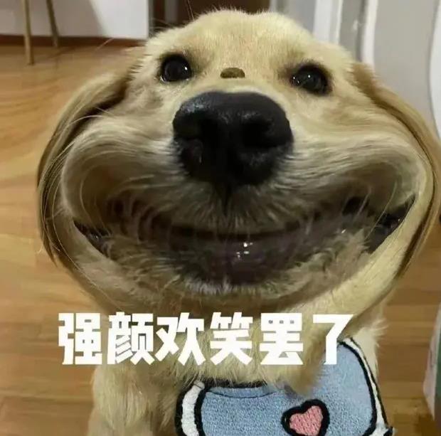 女生叫男生大冤种是什么意思