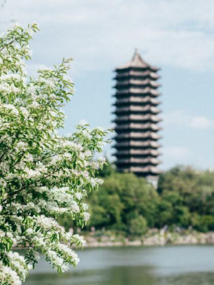 网上说清华北大什么梗（一流北大三流清华是怎么个说法）