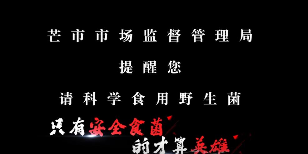 《菇勇者》爱你不知怎么样