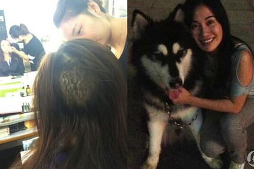 叶璇宠物狗撕咬李依晓事件