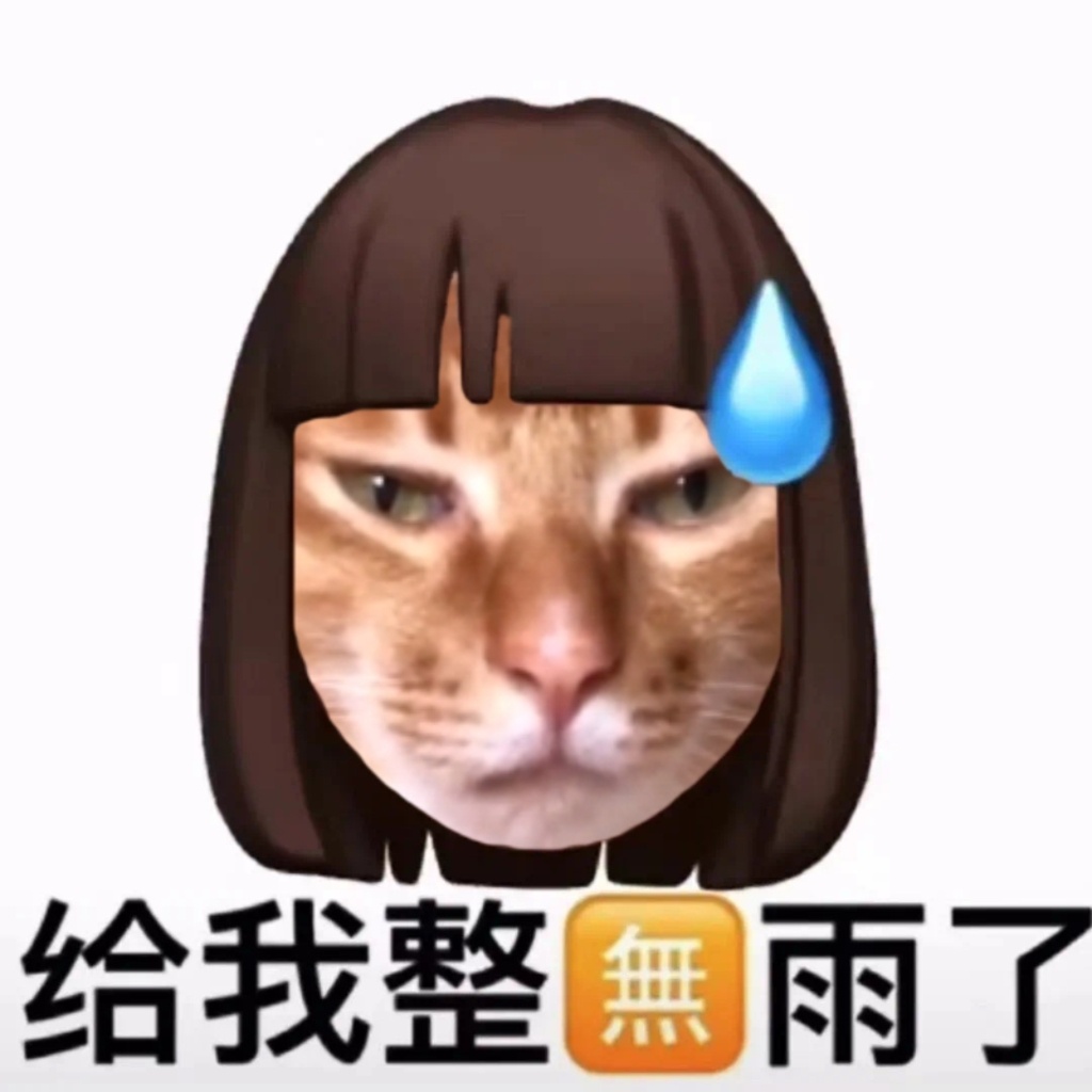 网红敦敦是什么品种的猫（敦敦猫咪表情包组图）