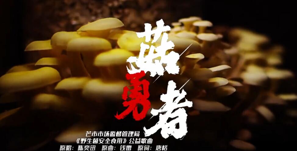 《菇勇者》爱你不知怎么样