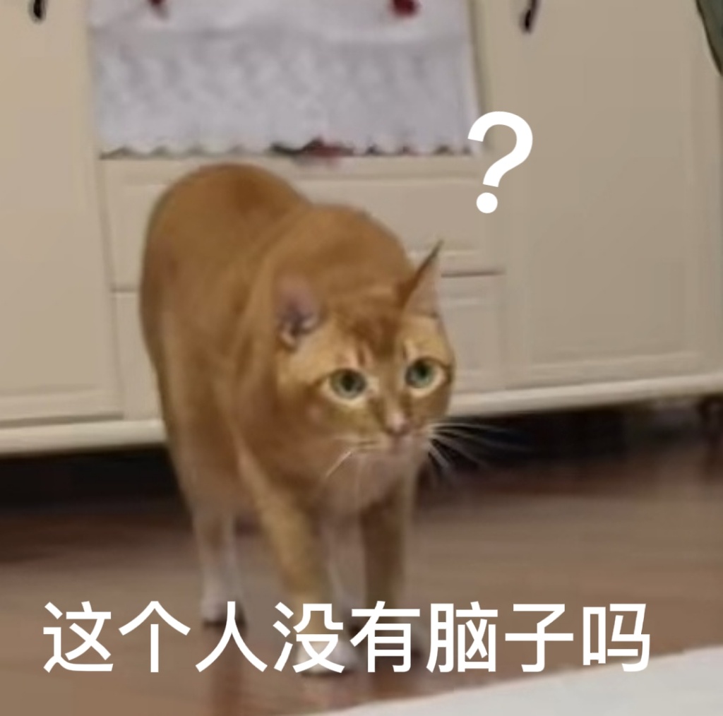 网红敦敦是什么品种的猫（敦敦猫咪表情包组图）