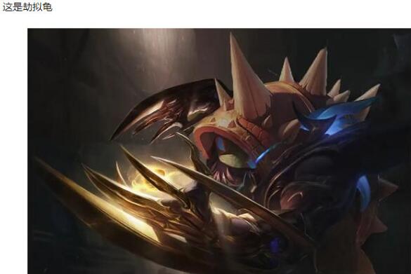 英雄联盟龙龟是什么动物？欢迎来到龙龟宇宙