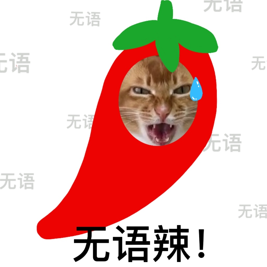 网红敦敦是什么品种的猫（敦敦猫咪表情包组图）