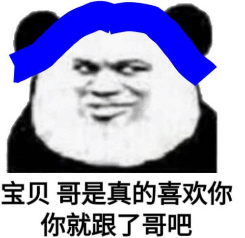 熊猫跳舞特效bgm是什么？普信熊猫表情包