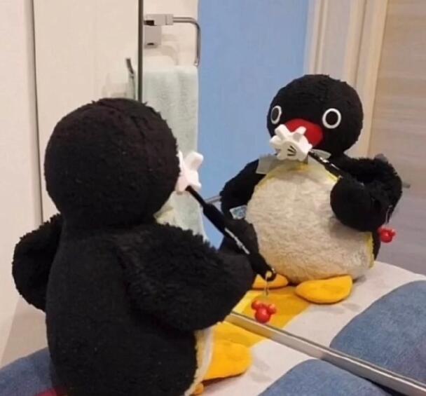 noot noot 企鹅表情包 noot noot什么意思