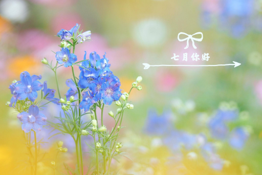 023年7月会有洪水吗？"