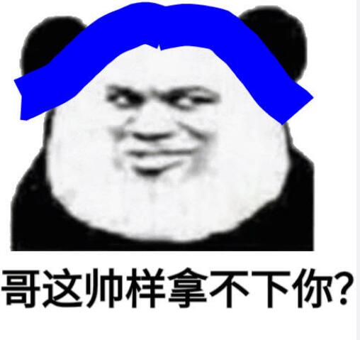 熊猫跳舞特效bgm是什么？普信熊猫表情包