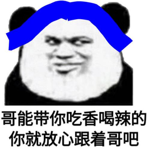 熊猫跳舞特效bgm是什么？普信熊猫表情包
