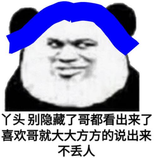 熊猫跳舞特效bgm是什么？普信熊猫表情包