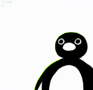 noot noot 企鹅表情包 noot noot什么意思