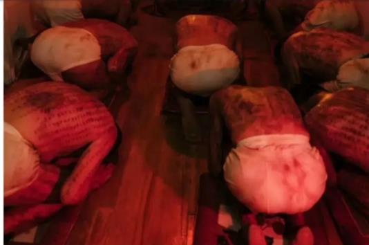 咒真实故事原型真相（咒的真实事件是什么）