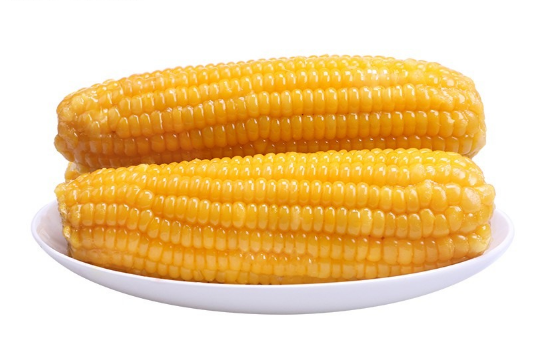 为什么真空玉米可以存放一年不变质