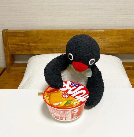 noot noot 企鹅表情包 noot noot什么意思