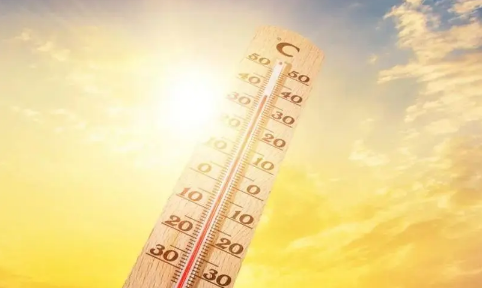 023年高温补贴多少？"