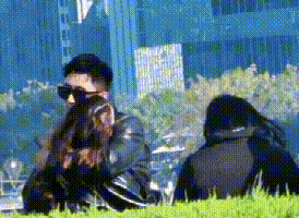 热带鱼CP是真的吗？实锤证据被曝光