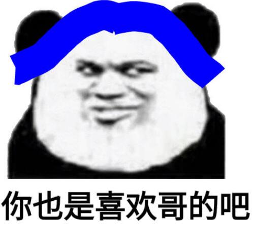 熊猫跳舞特效bgm是什么？普信熊猫表情包