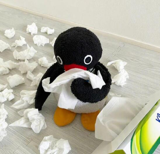 noot noot 企鹅表情包 noot noot什么意思