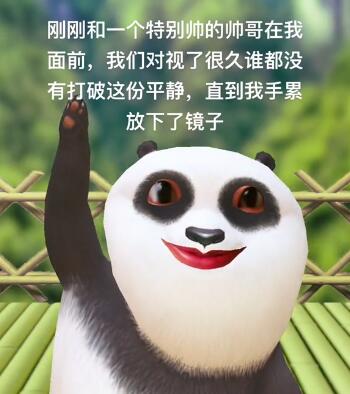 熊猫跳舞特效bgm是什么？普信熊猫表情包